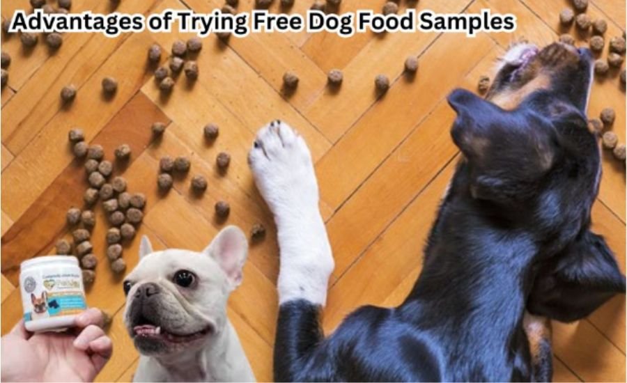 free dog food samples