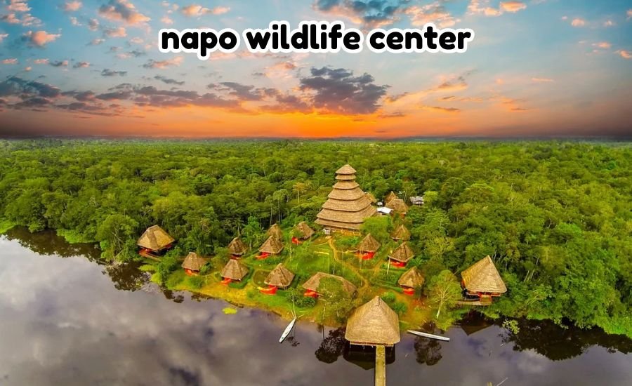 napo wildlife center