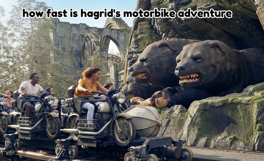 how fast is hagrid's motorbike adventure