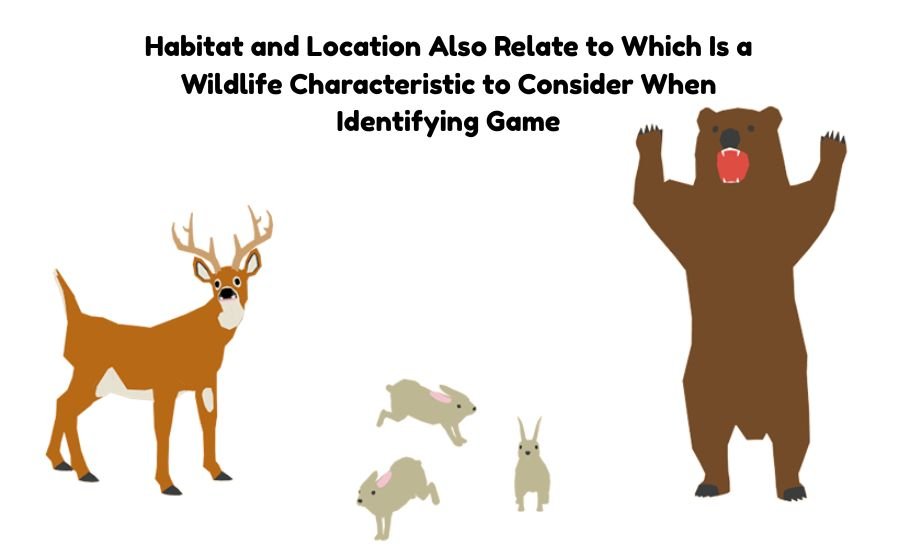 which is a wildlife characteristic to consider when identifying game