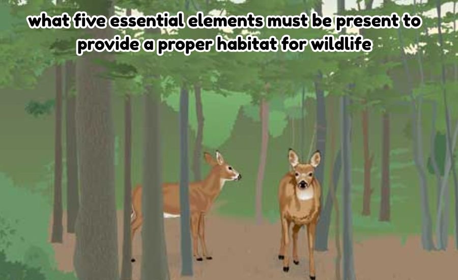 what five essential elements must be present to provide a proper habitat for wildlife
