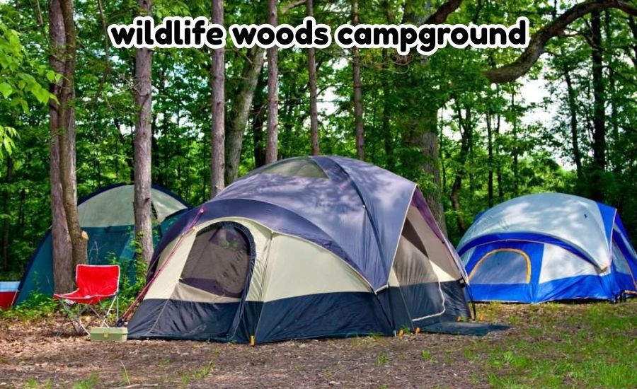 wildlife woods campground