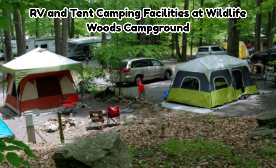 wildlife woods campground