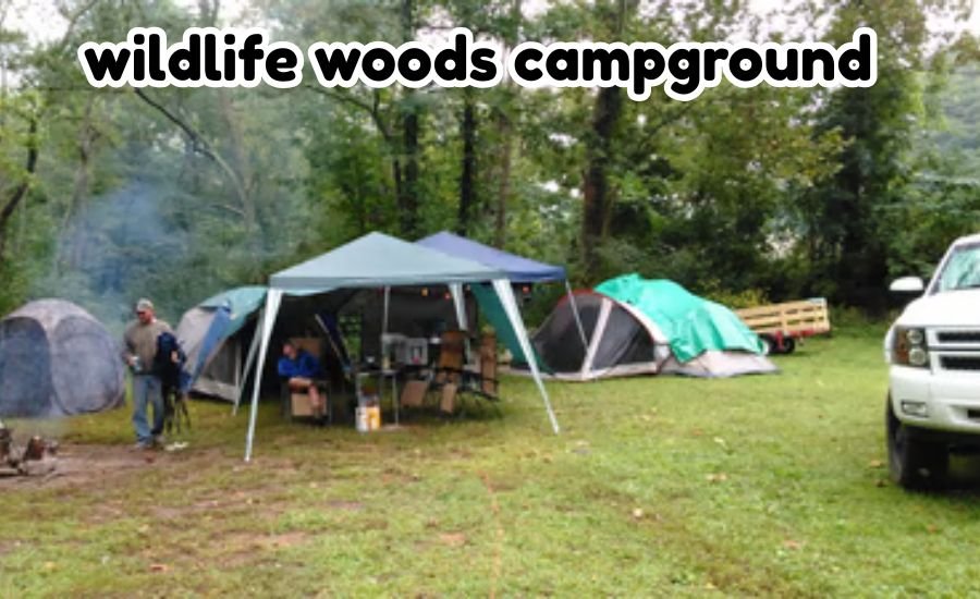 wildlife woods campground